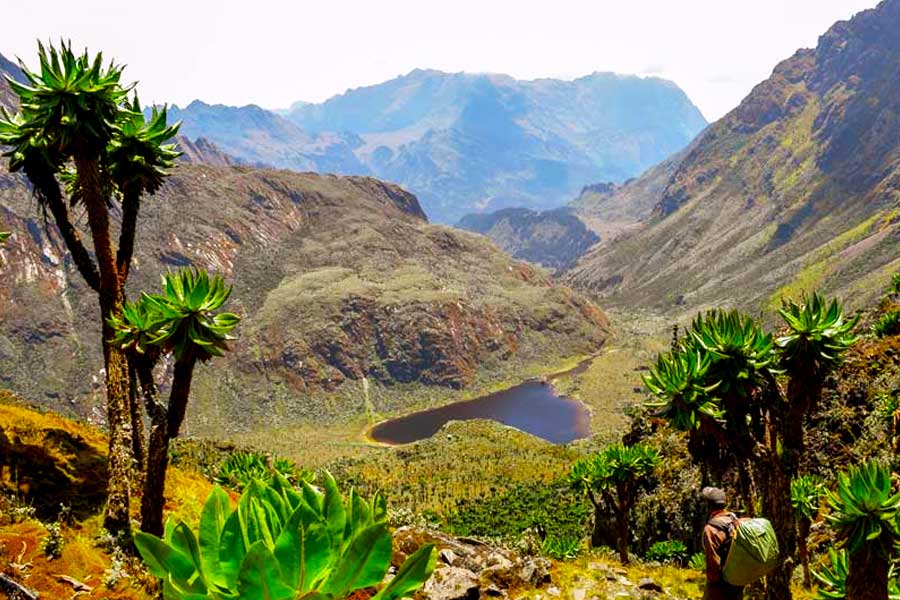 Rwenzori Mountains